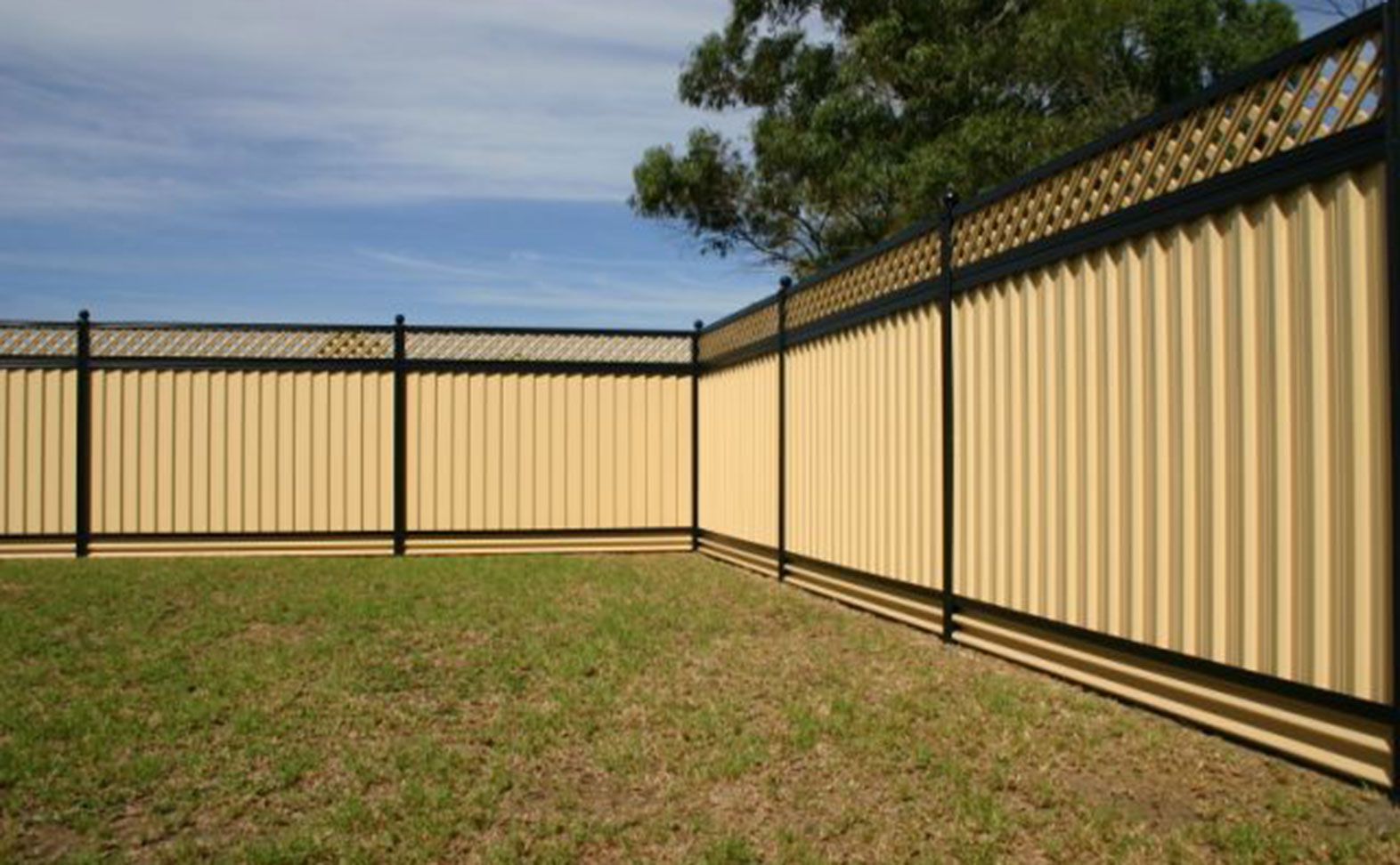 Colorbond and screening fencing